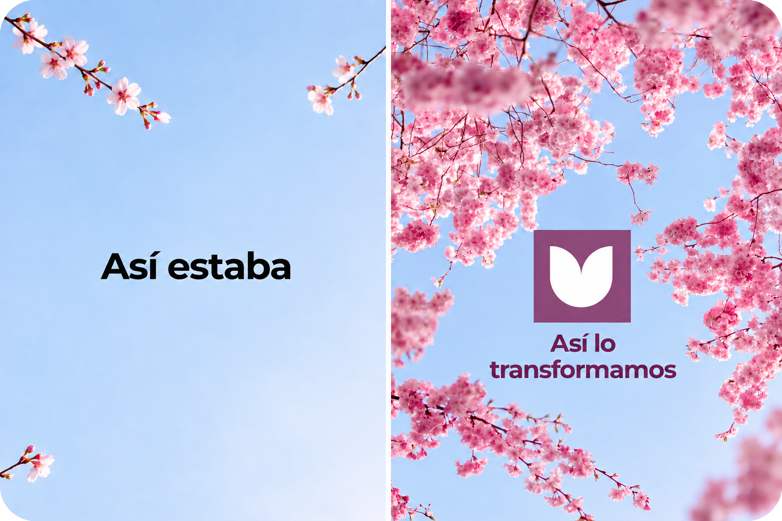 Antes y después de un espacio intervenido por MC Servicios: así estaba y así lo transformamos
